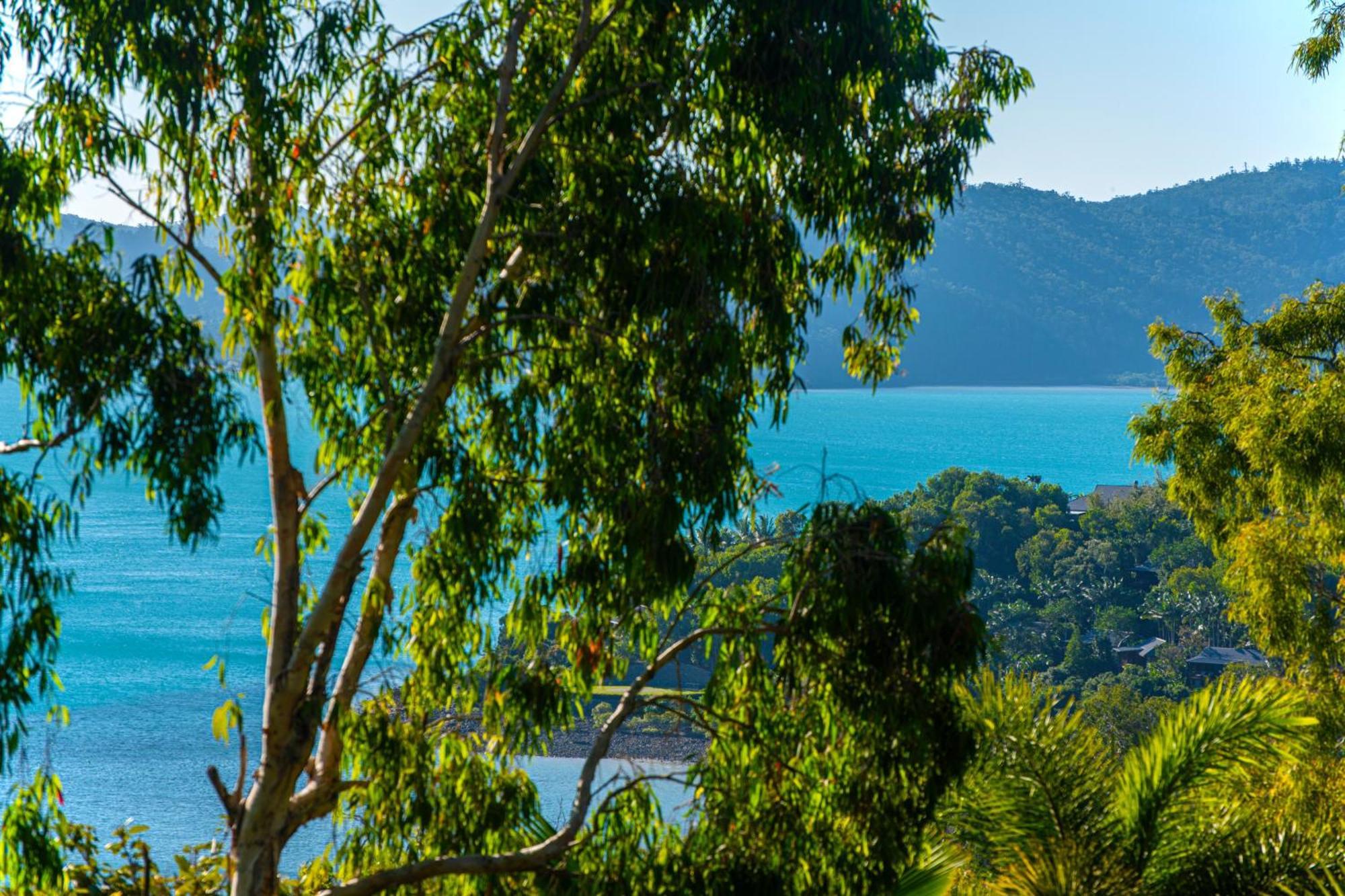 Sunset Waters Apartments Hamilton Island Eksteriør bilde