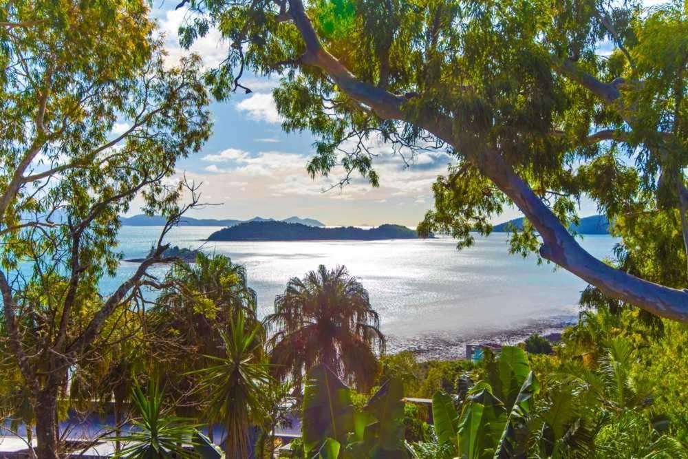 Sunset Waters Apartments Hamilton Island Eksteriør bilde